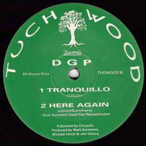 Image of Back Cover of 2544095S: 12" - D G P, Here Again (Tuch Wood Records ; TUCW003, UK 1993) large scuff one side otherwise in good shape. spindle marks  /VG