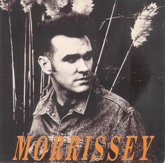 Image of Front Cover of 4414273C: 12" - MORRISSEY, November Spawned A Monster (His Master's Voice; 12POP 1623, UK 1990, Picture Sleeve) Edge wear.  VG/VG+