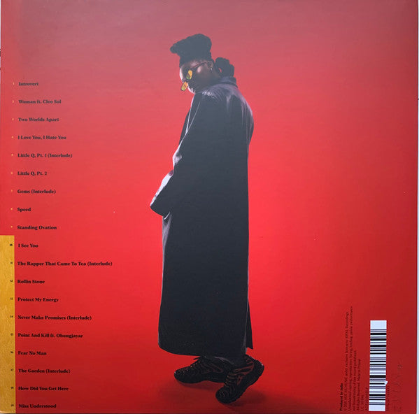 Image of Back Cover of 3244009S: LP - LITTLE SIMZ, Sometimes I Might Be Introvert (Age 101 Music ; AGE101002LP, UK 2021, Gatefold, Limited Edition, Black / Yellow Translucent) Strong VG+  VG+/VG+