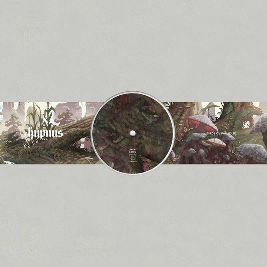 Image of Front Cover of 3224010E: 12" - BIRDS OV PARADISE, Part 1: Bayou (Hypnus Records; HYPNUS020, Sweden 2018, Die Cut Picture Sleeve, 180 Gram Vinyl)   /VG+