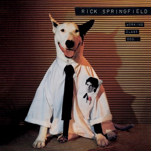 Image of Front Cover of 3434116E: CD - RICK SPRINGFIELD, Working Class Dog (Rock Candy; CANDY227, UK 1981 Reissue, Jewel Case, Booklet)   EX/EX