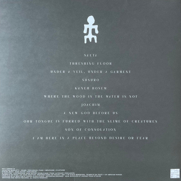Image of Back Cover of LP - VG+/VG - HOLY TONGUE, Deliverance And Spiritual Warfare (Amidah; AMIDAH005, UK 2023, Picture Sleeve), Strong VG,  - 3126345E