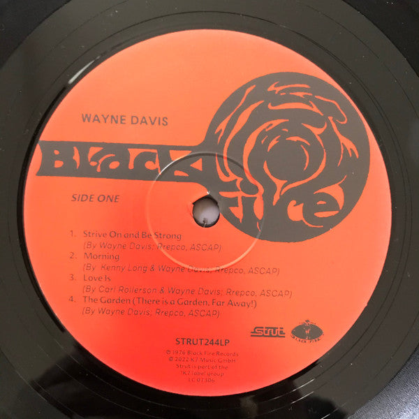 Image of Label Cover of LP - VG/VG+ - WAYNE DAVIS, Wayne Davis (Strut ; STRUT244LP, Worldwide 2022 Reissue), ,  - 1626047E