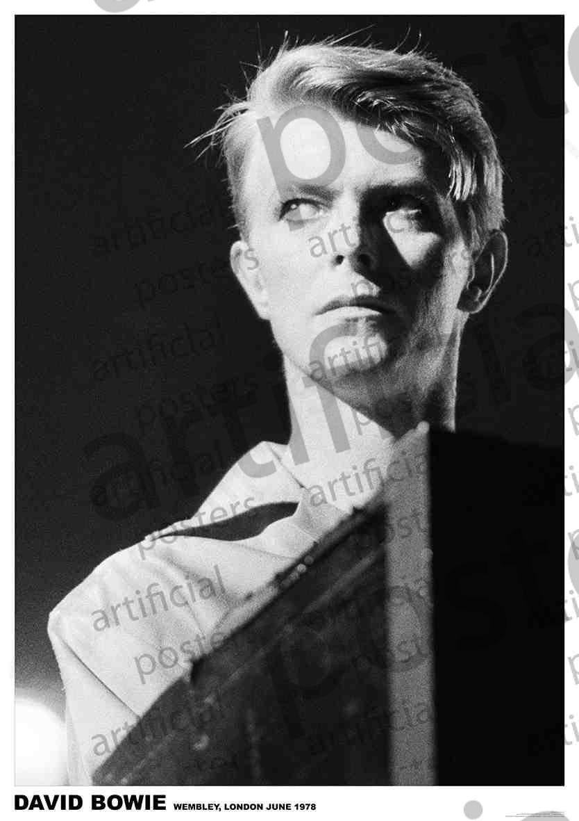 Image of Front Cover of 3914232C: Accessories - DAVID BOWIE, Poster (84.1cm x 59.4cm; ART208, UK )   NEW/NEW