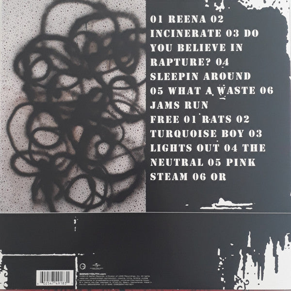 Image of Back Cover of LP - VG+/EX - SONIC YOUTH, Rather Ripped (Geffen Records; 00602547491831, US 2016 Reissue, 180 Gram Vinyl), ,  - 0816542C