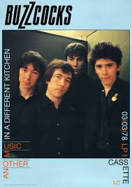 Image of Front Cover of Accessories - NEW/NEW - BUZZCOCKS, Another Music Poster (Dragonfly; ART014, UK ,  84cm x 60cm), ,  - 3914256C