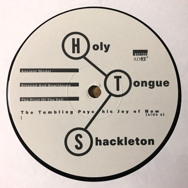 Image of Label Cover of LP - VG+/VG - HOLY TONGUE MEETS SHACKLETON, The Tumbling Psychic Joy of Now (AD 93; WHYT080, UK 2024), ,  - 3116397C