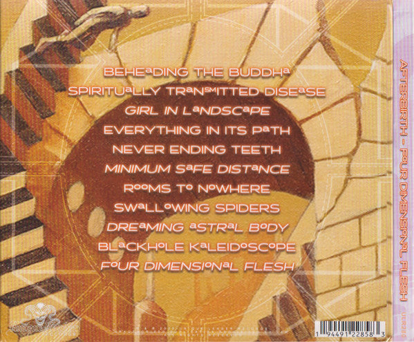 Image of Back Cover of 4254521S: CD - AFTERBIRTH, Four Dimensional Flesh (Unique Leader Records; ULR280, US 2020, Triple Digipak, Booklet)   VG+/VG+