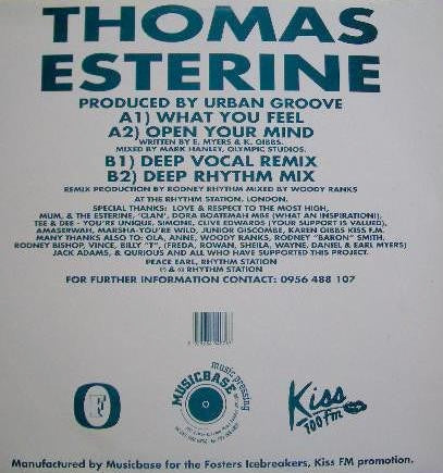 Image of Back Cover of 4414205C: 12" - THOMAS ESTERINE, What You Feel (Fosters Ice; ICE 1008, UK 1995, Picture Sleeve) Lovely clean copy!  VG+/VG+