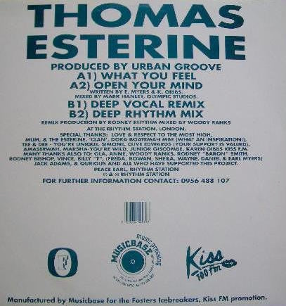 Image of Back Cover of 0416017C: 12" - THOMAS ESTERINE, What You Feel (Fosters Ice; ICE 1008, UK 1995, Picture Sleeve) Lovely Copy  VG+/VG+