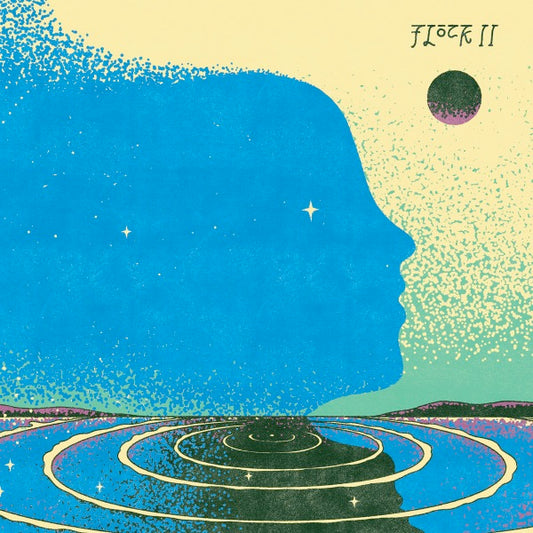 Image of Front Cover of LP - NEW/NEW - FLOCK, Flock II (Strut; STRUT331LP, Europe 2024, Insert), ,  - 3055085S