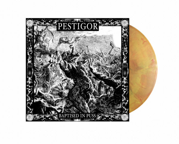 Image of Back Cover of 4724083E: LP - PESTIGOR, Baptized In Pus (Kink Records; KR060, Germany 2023, Inner, Limited Edition Vomit vinyl)   VG+/VG+