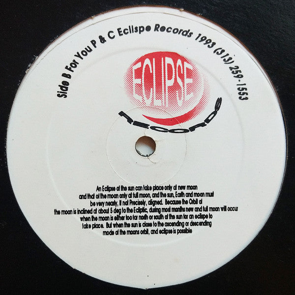Image of Back Cover of 12" - /VG - URBAN CULTURE, The Wonders Of Wishing (Eclipse Records; TF 509, US 1993), ,  - 2546136S