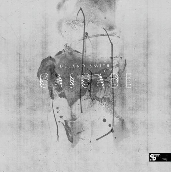 Image of Front Cover of 2x12" - VG/VG - DELANO SMITH, Cascade (Sushitech Records; SUSH32, Germany 2014, Picture Sleeve), light marks only,  - 3046084S