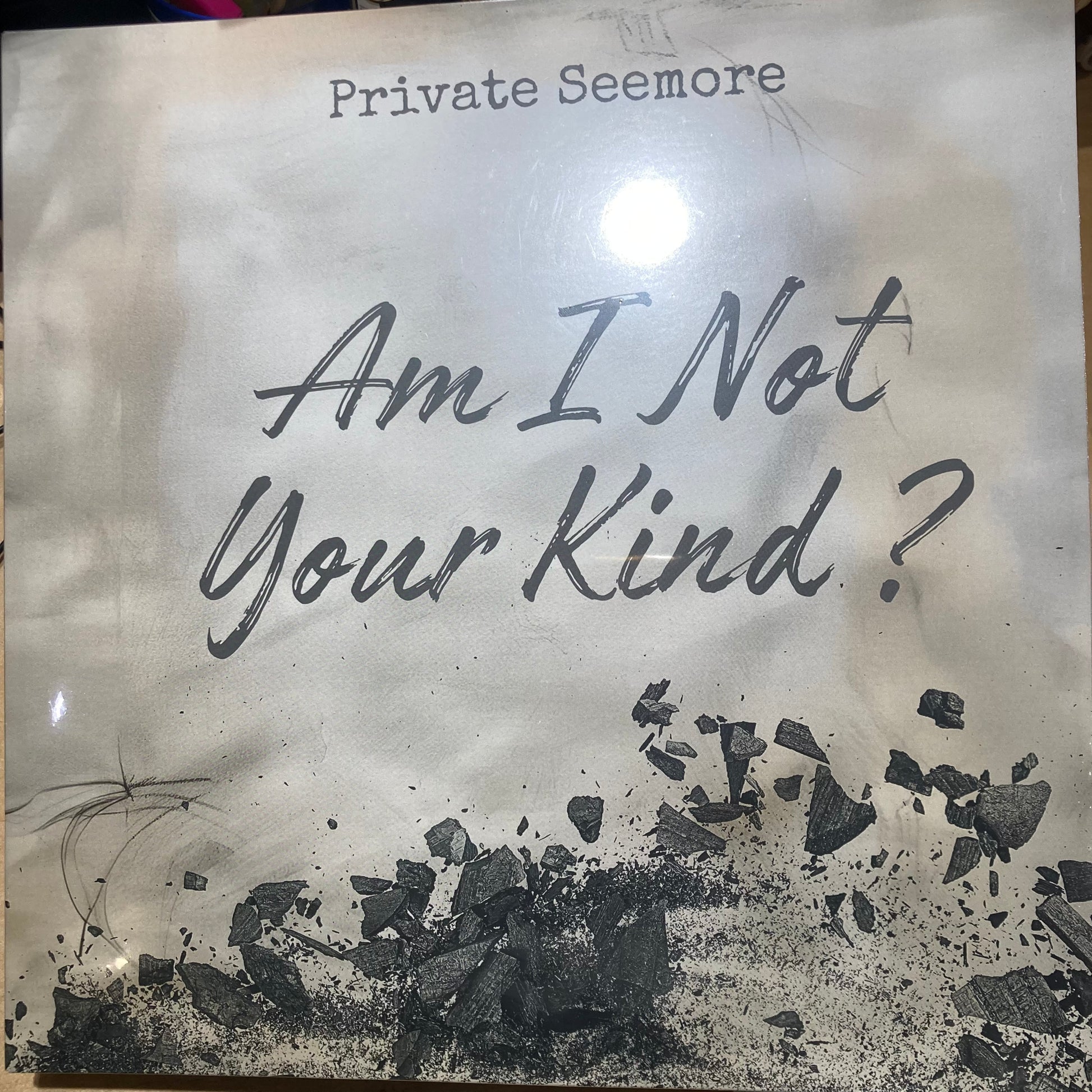 Image of Front Cover of 4914262C: LP - PRIVATE SEEMORE, Am I Not Your Kind? (Private Seemore; PRSMLP001, UK 2024, Insert)   NEW/NEW