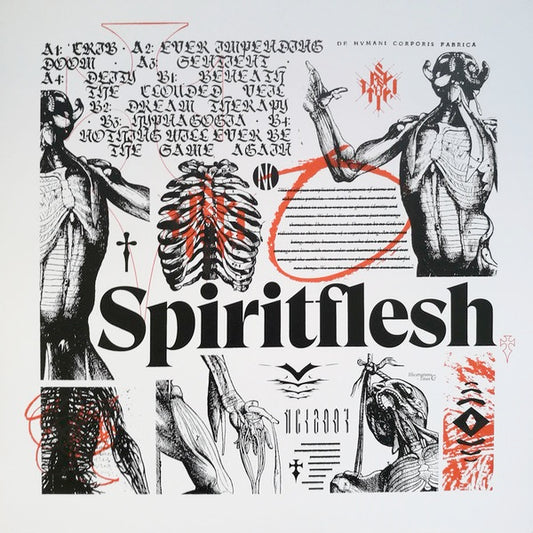 Image of Front Cover of 4914331C: LP - SPIRITFLESH, Spiritflesh (No Corner; NC12007, UK 2018, Black Inner, No Sticker)   VG+/G+