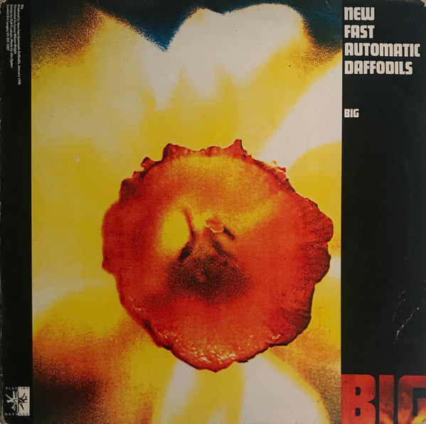 Image of Front Cover of 5024215E: LP - NEW FAST AUTOMATIC DAFFODILS, Big (Playtime Records; AMUSE 7T, UK 1990, Picture Sleeve) Signed By All 4 Members in Marker Pen on Front Sleeve,   VG+/VG+