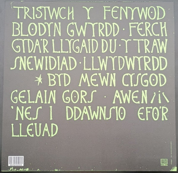 Image of Back Cover of 5014320C: LP - TRISTWCH Y FENYWOD, Tristwch Y Fenywod (Night School; LSSN096, UK 2024, Insert)   NEW/NEW