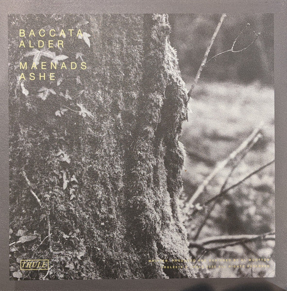 Image of Back Cover of 5124006E: 12" - AL WOOTTON, Maenads (Trule; TRULE010, UK 2021)   VG+/VG+