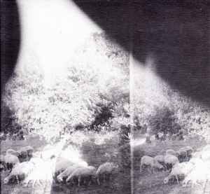 Image of Front Cover of 5134223E: CD - GODSPEED YOU! BLACK EMPEROR, Asunder, Sweet And Other Distress (Constellation ; CST111-2, Canada 2015, Gatefold, Inner)   EX/EX