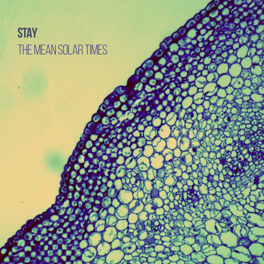 Image of Front Cover of LP - EX/EX - STAY, The Mean Solar Times (Picture In My Ear; PIME 0014, US 2016, Inner), Opened Instore,  - 0315187C