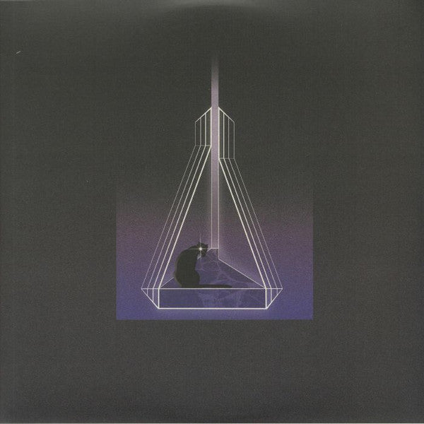 Image of Front Cover of 0415272C: 2xLP - SEVEN DAVIS JR., I See The Future (Secret Angels; SAR003, UK 2022) Shrink-wrap  VG+/VG+