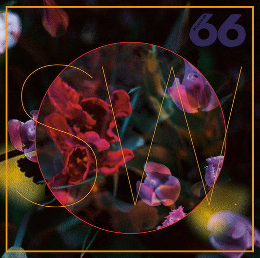 Image of Front Cover of 0425266E: LP - SW., BlewLIPS (Avenue 66; AVE66-12, Germany 2021) was sealed, opened in shop. still in shrinkwrap.  VG+/EX