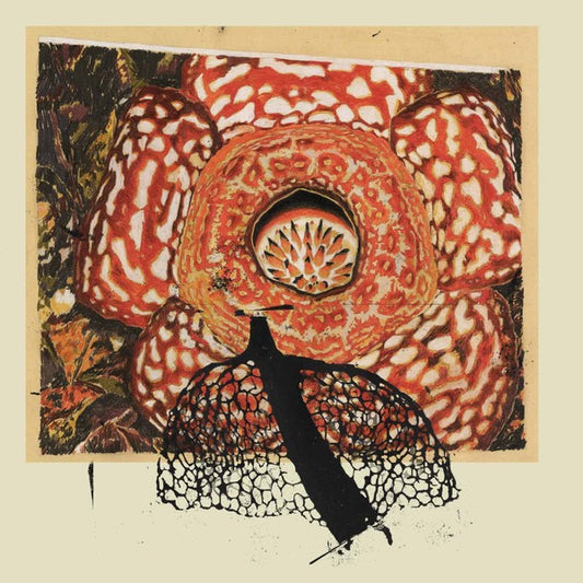 Image of Front Cover of LP - NEW/NEW - DAVID FENECH AND KLIMPEREI, Rainbow De Nuit (Marionette; Marionette15, UK 2021, 180g), ,  - 0435132E