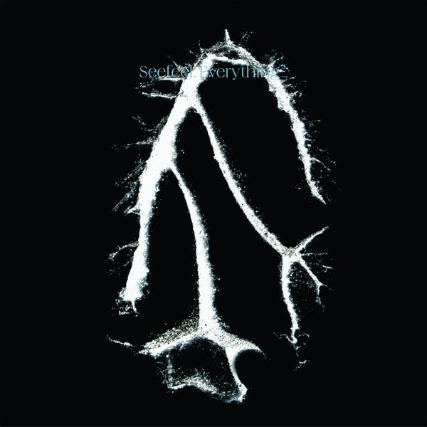 Image of Front Cover of Mini-LP - VG+/VG+ - SEEFEEL, Everything Squared (Warp Records; WARPLP385, Europe 2024), Still In Opened Shrinkwrap,  - 3346008S