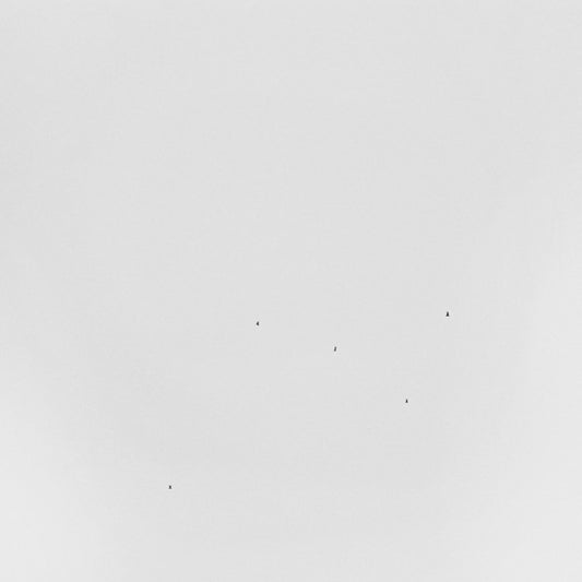 Image of Front Cover of 1015330C: LP - TODD ANDERSON-KUNERT, Conjectures (Room40 ; RM4110, Australia 2019) Still in shrinkwrap.  VG+/EX