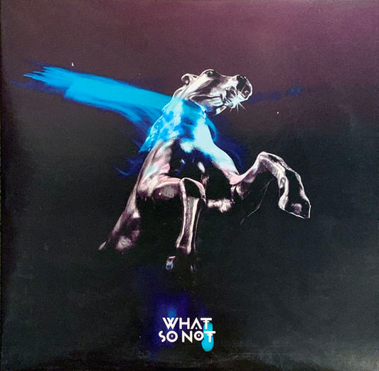 Image of Front Cover of 0745103S: 2xLP - WHAT SO NOT, Not All The Beautiful Things (Counter Records; COUNT141,  2018, Gatefold)   EX/EX