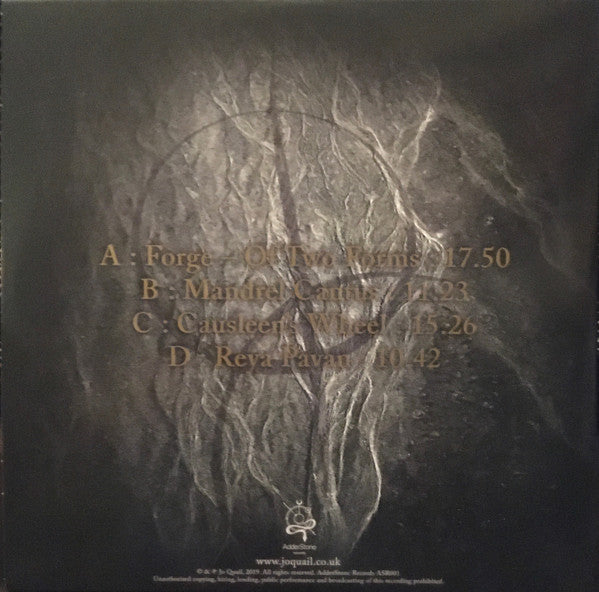 Image of Back Cover of 2xLP - EX/EX - JO QUAIL, Exsolve (Adderstone Records; ASR001, UK 2019, Limited Edition, Clear With Black And Gold Splatter), ,  - 1245147S