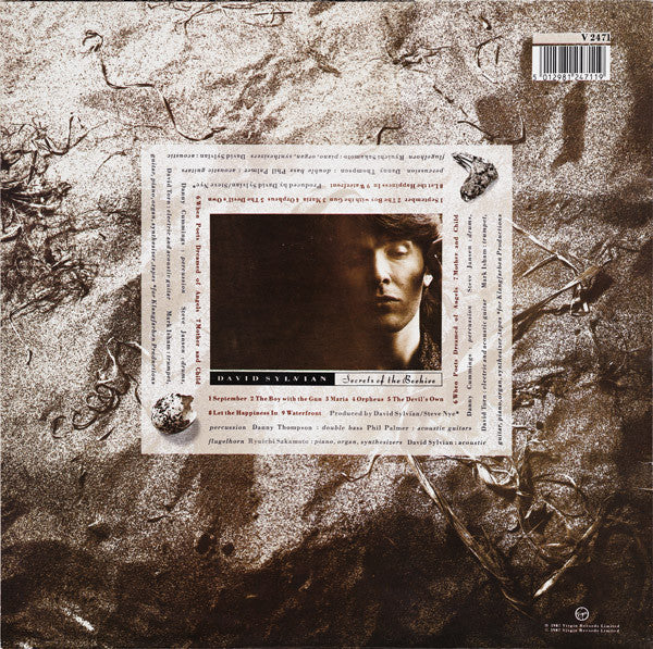Image of Back Cover of LP - VG/G+ - DAVID SYLVIAN, Secrets Of The Beehive (Virgin; V 2471, UK 1987, No Insert), ,  - 2616223C