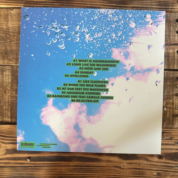 Image of Back Cover of LP - NEW/NEW - THE BABE RAINBOW, Slipper Imp And Shakaerator (p(doom) records; 198704274770, Canada 2025, Inner, Laguna Blue Vinyl), ,  - 1655095S