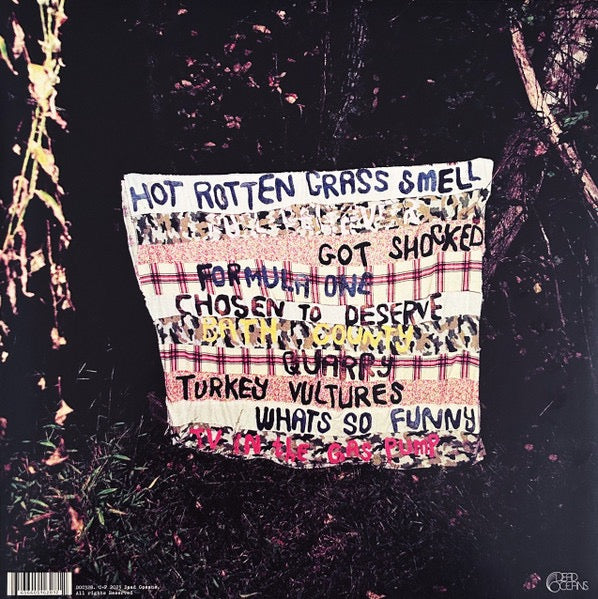 Image of Back Cover of LP - NEW/NEW - WEDNESDAY, Rat Saw God (Dead Oceans; DOC328LP, US 2023, Booklet & Inner, Download), ,  - 0236142E