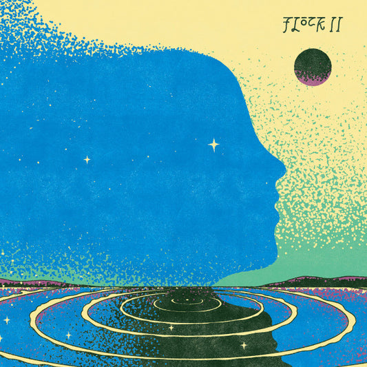 Image of Front Cover of LP - EX/EX - FLOCK, Flock II (Strut; STRUT331LP, Europe 2024, Insert), ,  - 3016206C