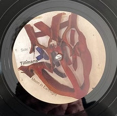Image of Label Cover of LP - NEW/NEW - TILLMANS (WOLFGANG TILLMANS), Moon In Earthlight (Fragile ; Fragile012, Germany 2022, Inner), ,  - 1635227E