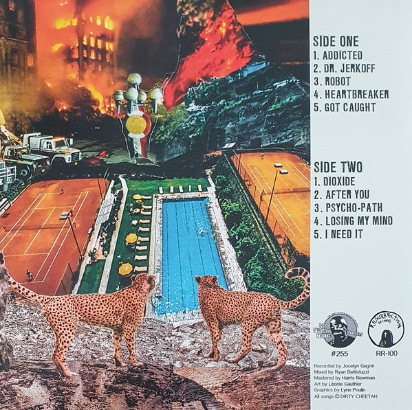 Image of Back Cover of LP - VG+/VG+ - DIRTY CHEETAH, Never Too Late (No Front Teeth Records; #255, UK 2020), ,  - 1915188C