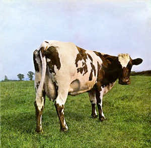 Image of Front Cover of LP - VG/VG - PINK FLOYD, Atom Heart Mother (Harvest Green, Gramophone Co On Rim, No EMI Box; SHVL781, UK 1970, Gatefold, Company Inner, First issue, first label, variant 2. A1-G, B1-G Matrix . World Copyrights/Lupus Music), Light wispy hairlines and one larger superficial non feelable mark, Good gloss to disc, Light sleeve wear and small sticker on rear. ,  - 1716625C