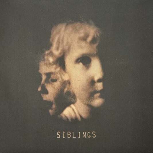 Image of Front Cover of 2xLP - EX/VG - ALEX SOMERS, Siblings (Kr nk; KRUNK50LP, Iceland 2021, Insert, Sigur Ros), Still In Opened Shrinkwrap With Hype Sticker. Marks On Vinyl From Storage.,  - 2316531C
