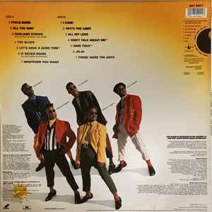 Image of Back Cover of LP - VG+/EX - TONY TONI! TON !, The Revival (Polydor; 841 902-1, UK 1990), Lightest of wear to sleeve.,  - 2326156E