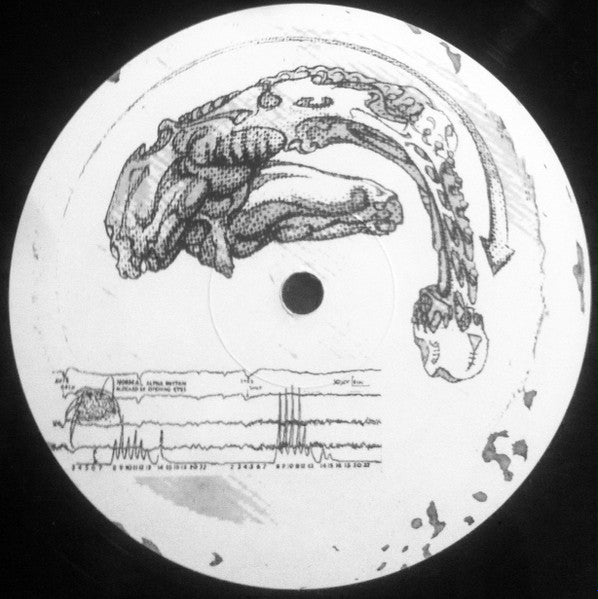 Image of Back Cover of 2125412E: 12" - YANN DUB, Deribo Del Bario (Reverse Records; REVERSE REC N� 3, France 1999)   /G+