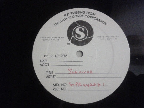 Image of Back Cover of 12" - /VG - THE DUKES, Survivor (WEA; STPR 44228-1, US 1982), ,  - 2225390E
