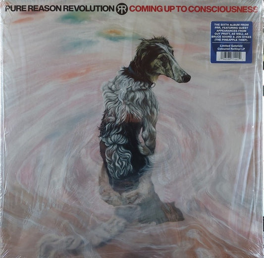 Image of Front Cover of LP - EX/VG+ - PURE REASON REVOLUTION, Coming Up To Consciousness (Inside Out Music; IOM710, Europe 2024, Gatefold, Insert, Blue Marbled Vinyl), ,  - 2415446C
