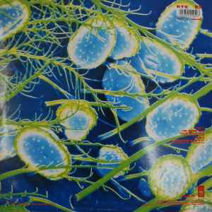 Image of Back Cover of 12" - VG/VG - THE SOUP DRAGONS, I'm Free (Big Life; RTV 9T, UK 1990, Picture Sleeve), Sleeve a little worn. ,  - 3316086C