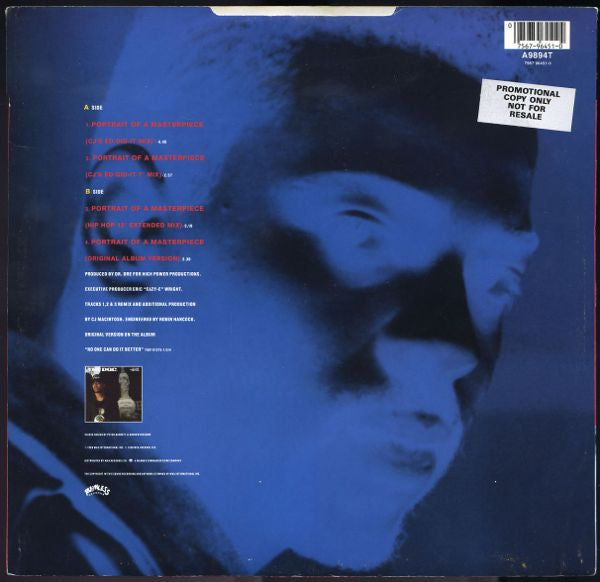 Image of Back Cover of 2615422C: 12" - THE D.O.C., Portrait Of A Masterpiece (Atlantic; A 9894 T, UK 1990, Picture Sleeve)   VG/VG