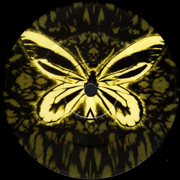 Image of Label Cover of 12" - VG/VG - ZEN PARADOX, The Light At The End... ? (Nova Zembla; NZ005, Belgium 1994, Picture Sleeve), light marks only. cut out (hole punch top right sleeve),  - 4246249S