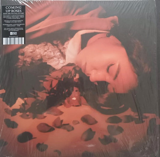 Image of Front Cover of LP - NEW/NEW - COMING UP ROSES, How Did We Fall So Far? (INH Records; INH003LP, UK & Europe 2025, Inner, Cherry Cola Red Vinyl), ,  - 2635228E