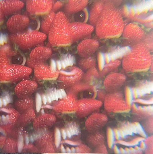 Image of Front Cover of 2715321C: LP - THEE OH SEES, Floating Coffin (Deathgod Records; DG-004, US 2025, Insert)   NEW/NEW