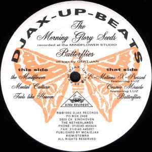 Image of Front Cover of 2725283E: 12" - THE MORNING GLORY SEEDS, Butterflies (Djax-Up-Beats; DJAX-UP-157, Netherlands 1992, Plain Sleeve)   /VG